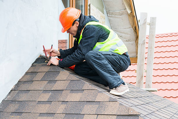 Best Roof Gutter Cleaning  in Okeechobee, FL
